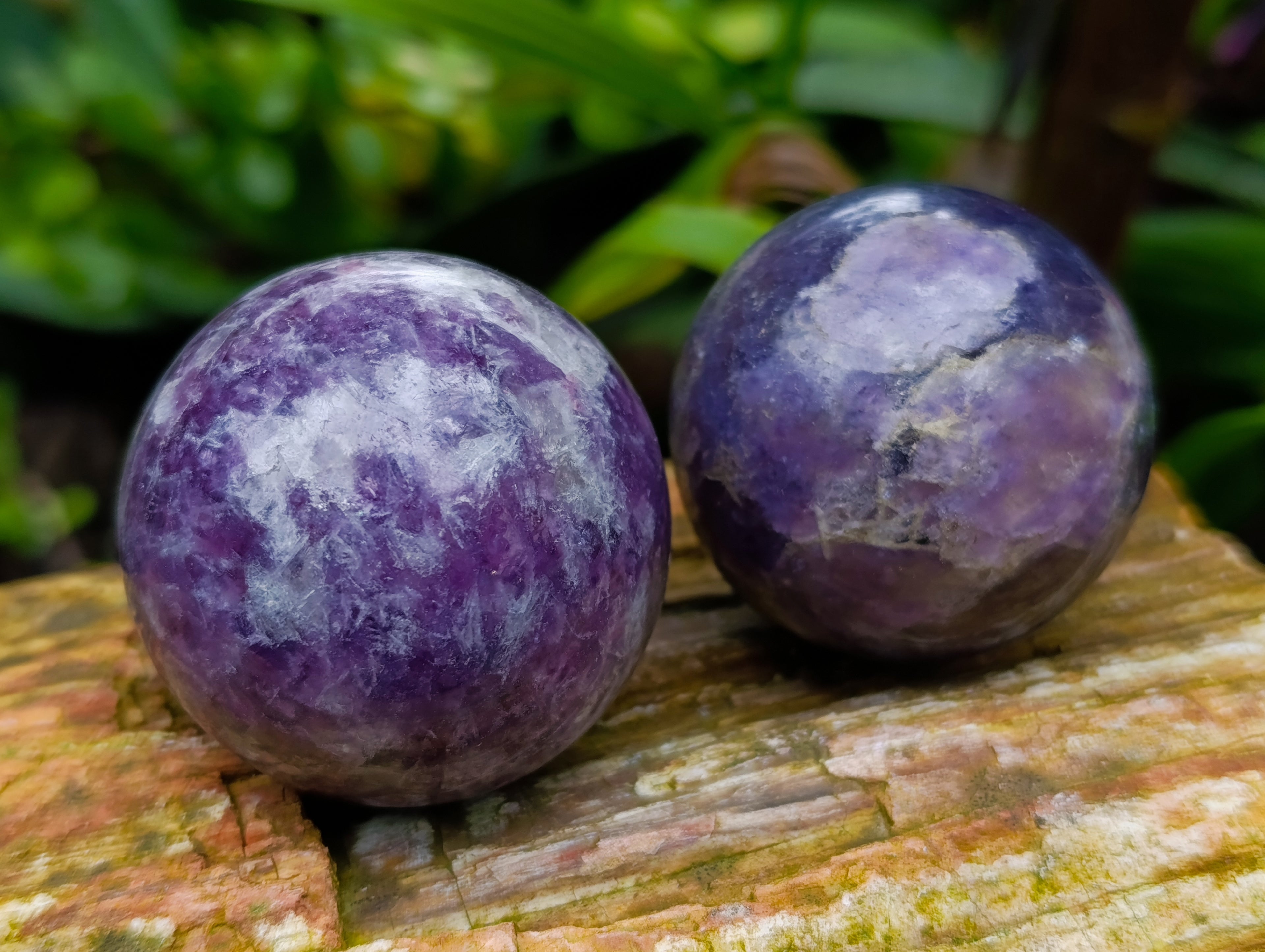 Polished Lepidolite with Pink Rubellite Spheres x 6 From Ambatondrazaka, Madagascar - Toprock Gemstones and Minerals 