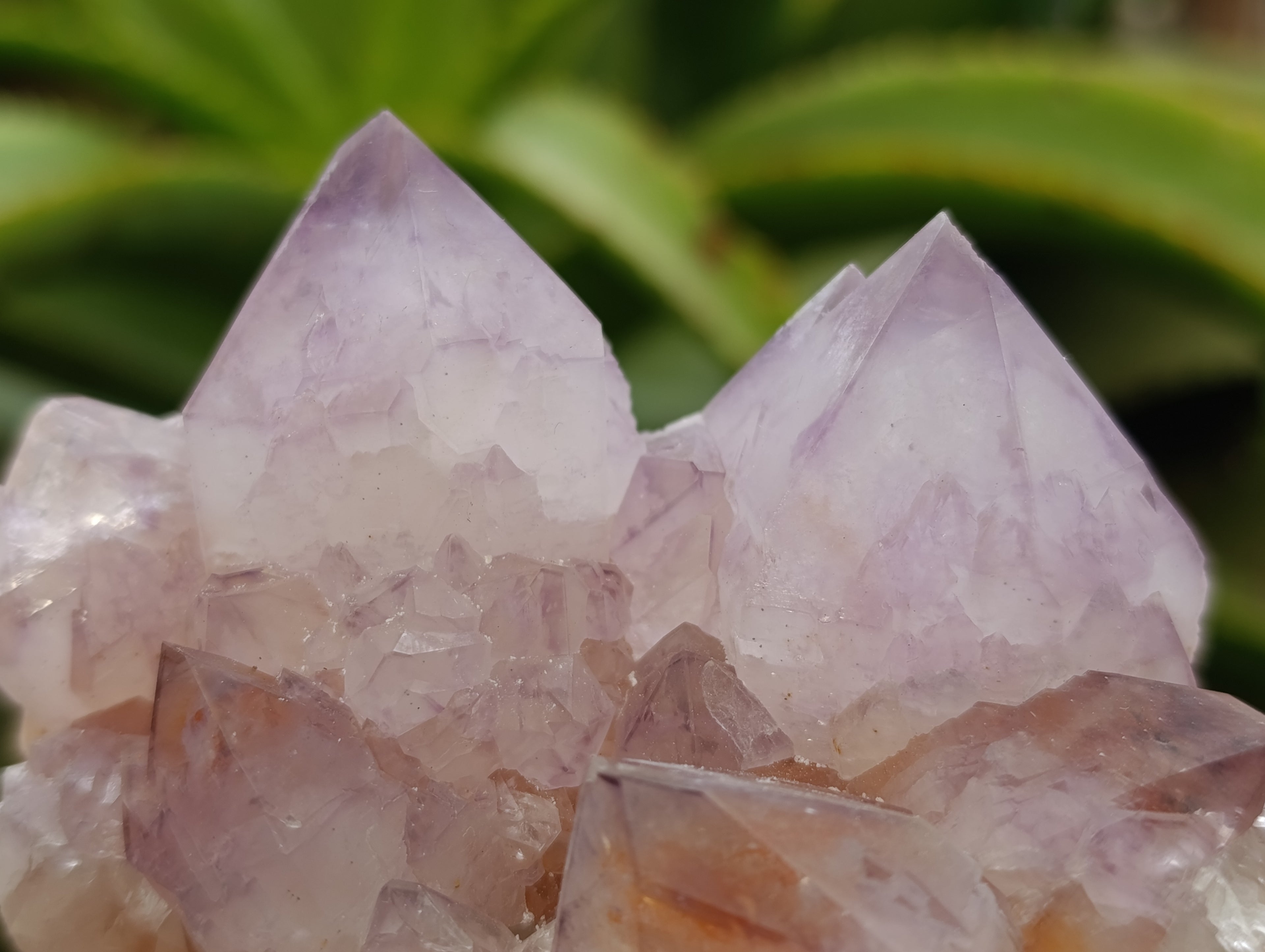 Natural Dark Purple Amethyst Spirit Quartz Clusters x 3 From Boekenhouthoek, South Africa - Toprock Gemstones and Minerals 