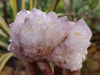 Natural Dark Purple Amethyst Spirit Quartz Clusters x 3 From Boekenhouthoek, South Africa - Toprock Gemstones and Minerals 