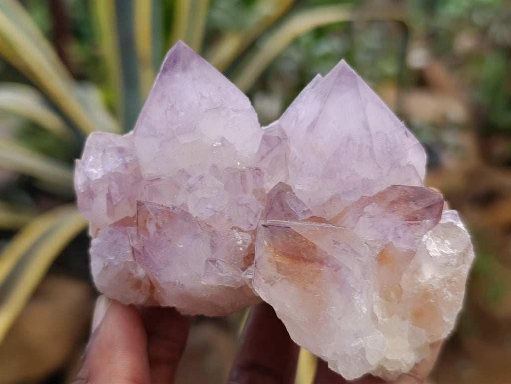 Natural Dark Purple Amethyst Spirit Quartz Clusters x 3 From Boekenhouthoek, South Africa - Toprock Gemstones and Minerals 