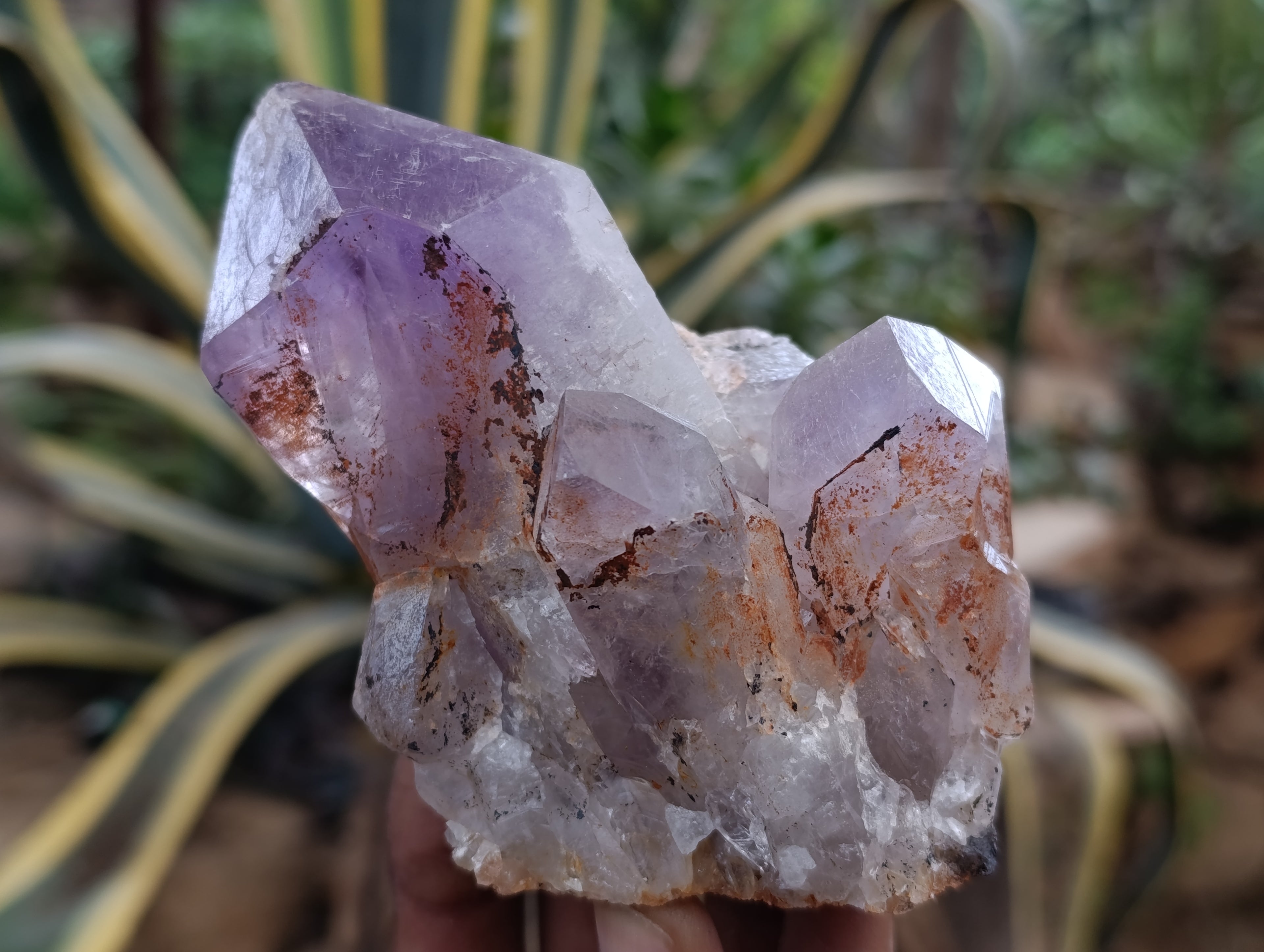 Natural Jacaranda Amethyst Quartz Clusters 6 x from Mumbwa, Zambia - Toprock Gemstones and Minerals 