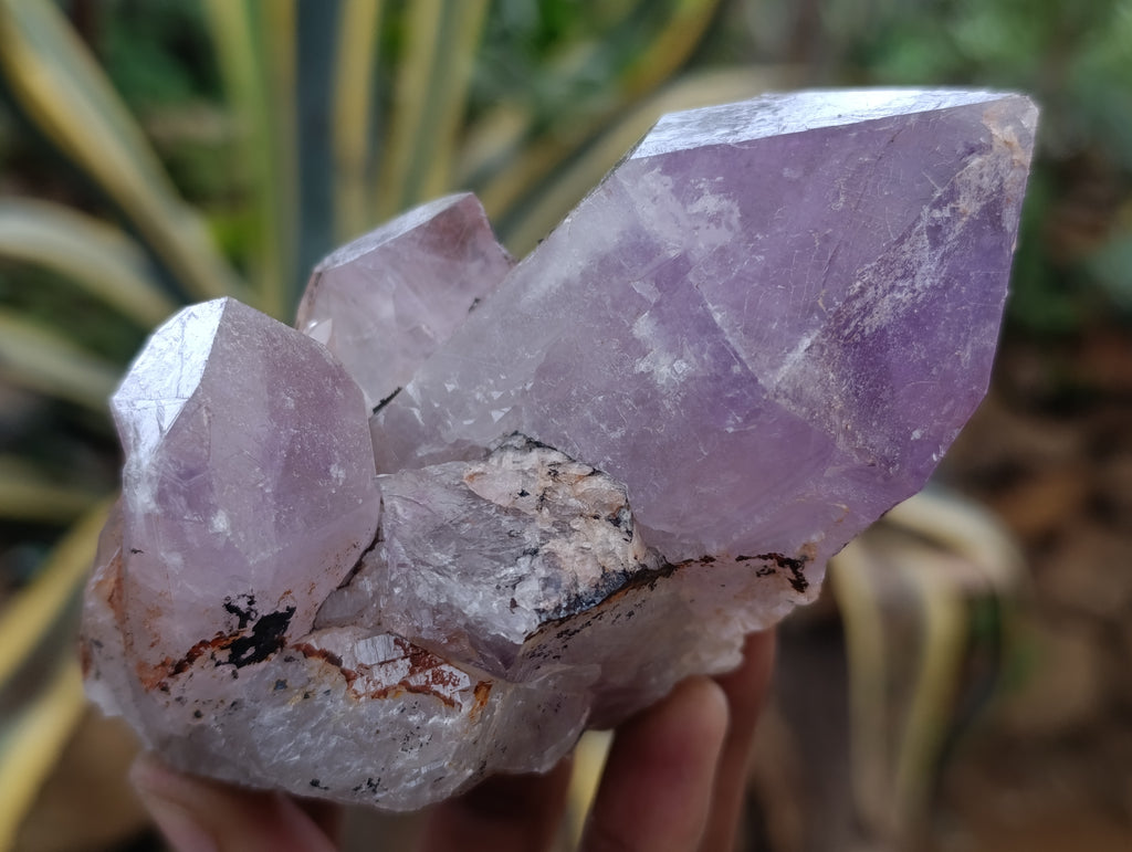 Natural Jacaranda Amethyst Quartz Clusters 6 x from Mumbwa, Zambia - Toprock Gemstones and Minerals 