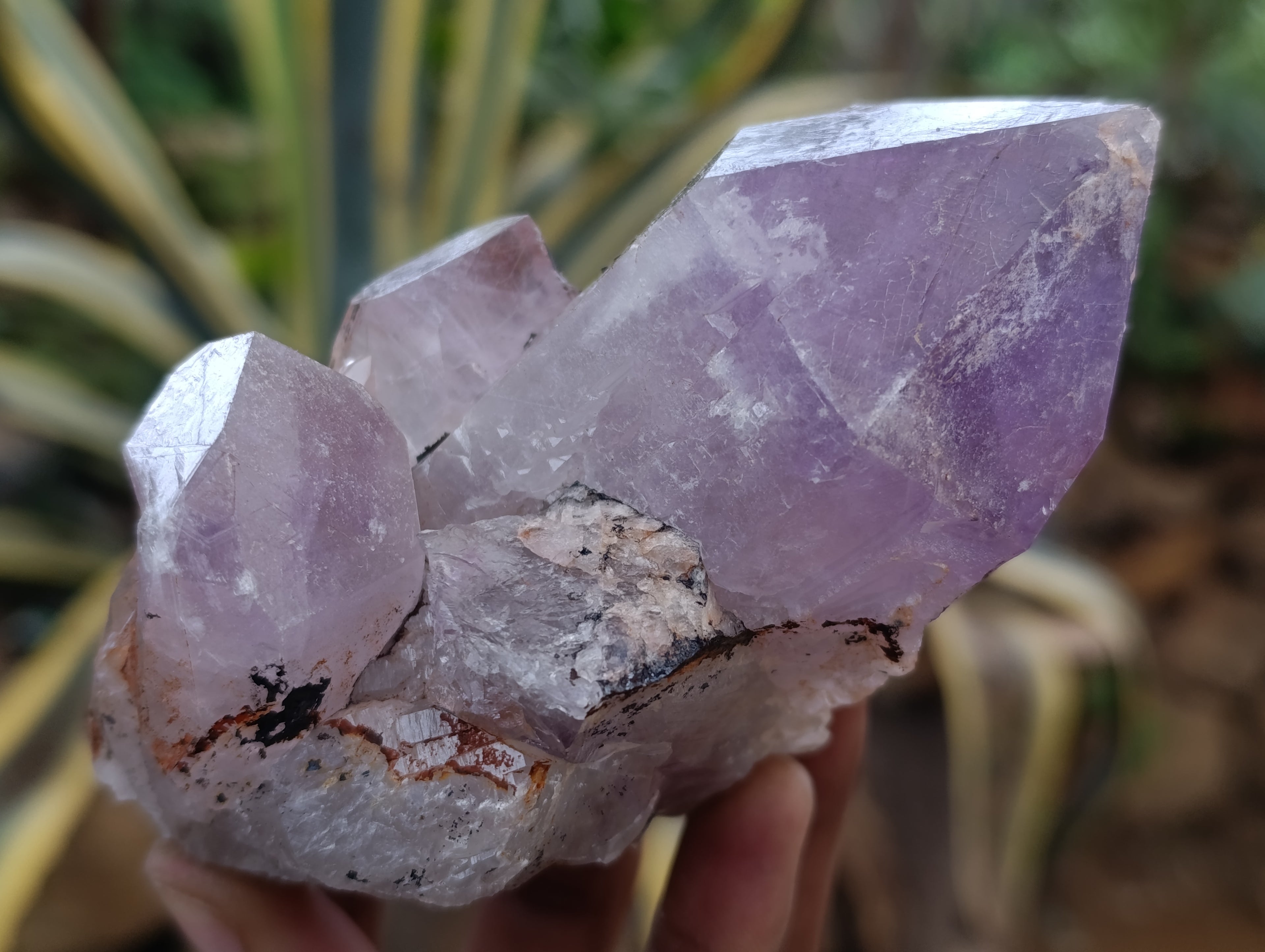 Natural Jacaranda Amethyst Quartz Clusters 6 x from Mumbwa, Zambia - Toprock Gemstones and Minerals 