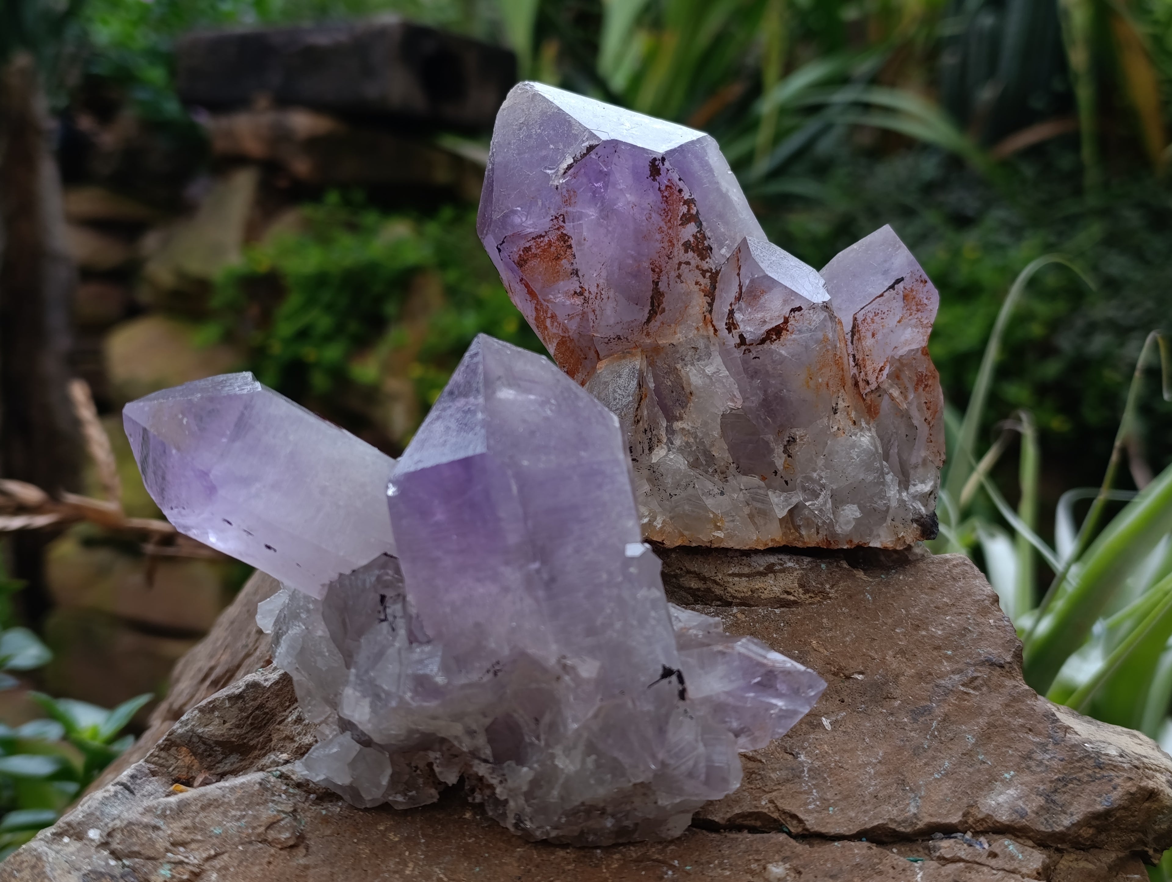 Natural Jacaranda Amethyst Quartz Clusters 6 x from Mumbwa, Zambia - Toprock Gemstones and Minerals 