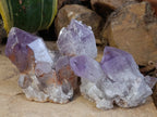 Natural Jacaranda Amethyst Quartz Clusters 6 x from Mumbwa, Zambia - Toprock Gemstones and Minerals 