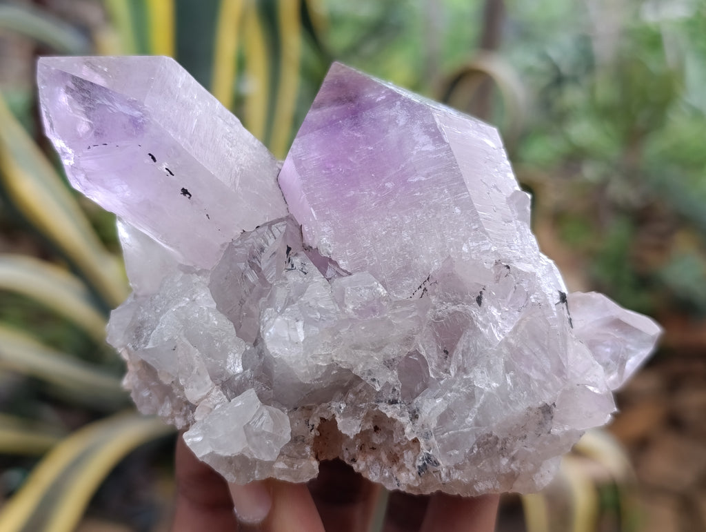 Natural Jacaranda Amethyst Quartz Clusters 6 x from Mumbwa, Zambia - Toprock Gemstones and Minerals 