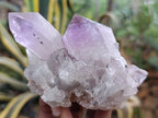 Natural Jacaranda Amethyst Quartz Clusters 6 x from Mumbwa, Zambia - Toprock Gemstones and Minerals 