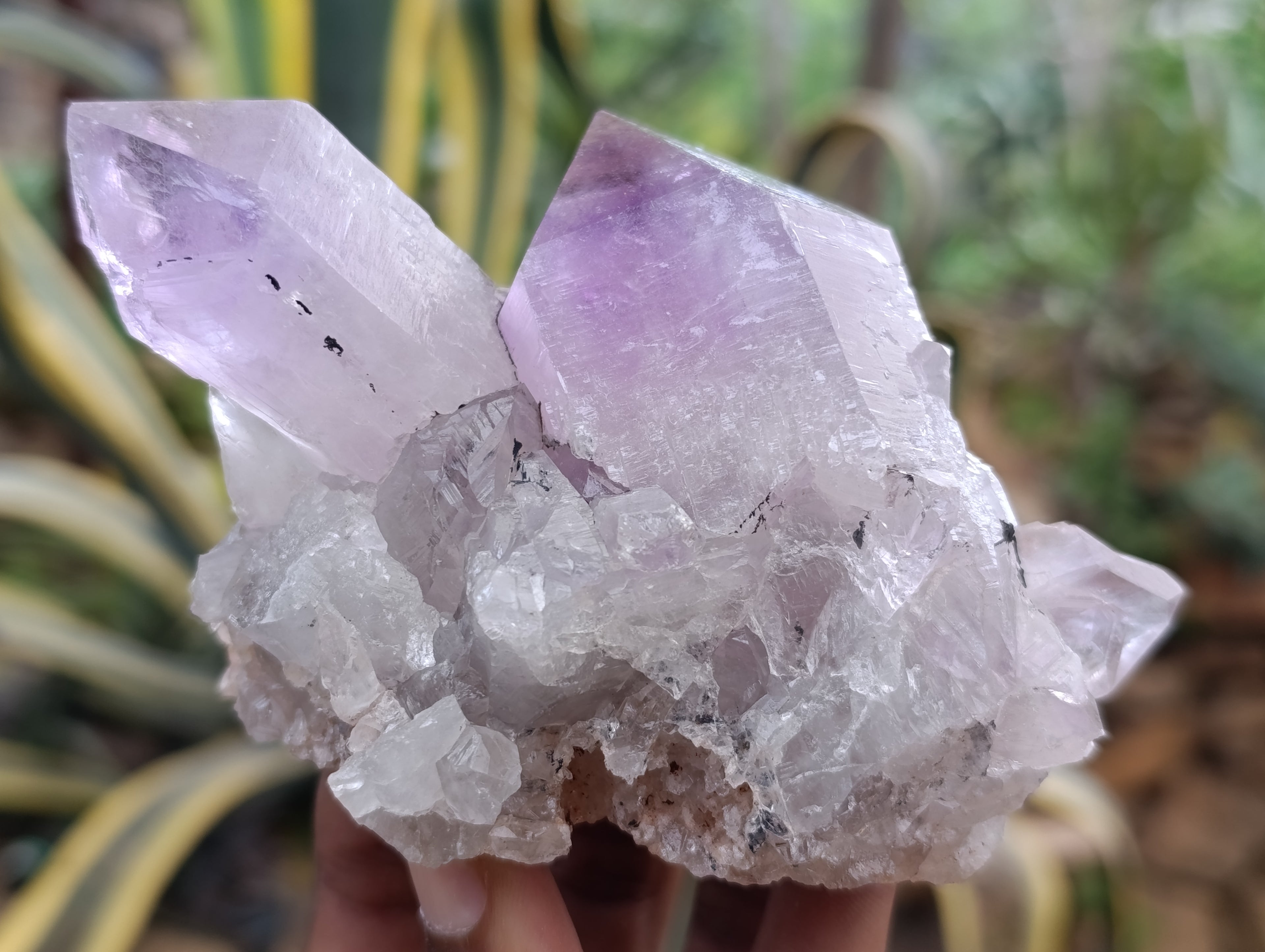 Natural Jacaranda Amethyst Quartz Clusters 6 x from Mumbwa, Zambia - Toprock Gemstones and Minerals 