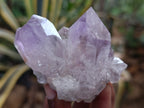 Natural Jacaranda Amethyst Quartz Clusters 6 x from Mumbwa, Zambia - Toprock Gemstones and Minerals 