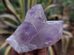 Natural Jacaranda Amethyst Quartz Clusters 6 x from Mumbwa, Zambia - Toprock Gemstones and Minerals 