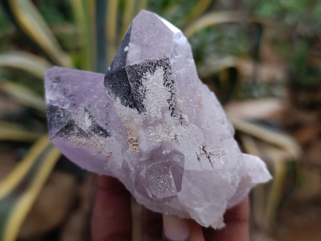 Natural Jacaranda Amethyst Quartz Clusters 6 x from Mumbwa, Zambia - Toprock Gemstones and Minerals 