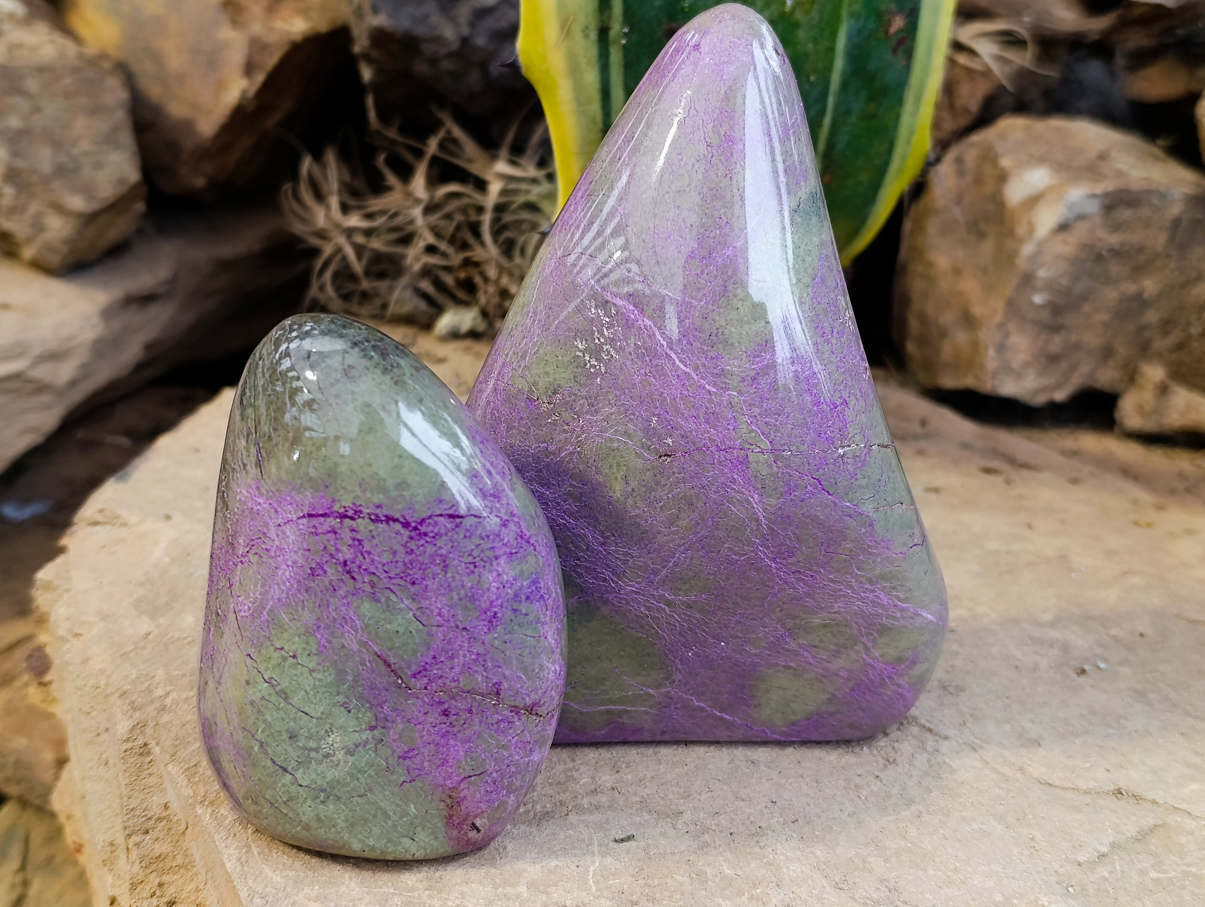 Polished Stichtite Standing Free Forms x 2 From Barberton, South Africa - Toprock Gemstones and Minerals 