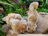 Natural Limonite Quartz Clusters x 2 From Solwezi, Zambia - Toprock Gemstones and Minerals 