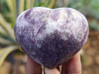 Polished Lepidolite with Pink Rubellite Hearts x 6 From Ambatondrazaka, Madagascar - Toprock Gemstones and Minerals 