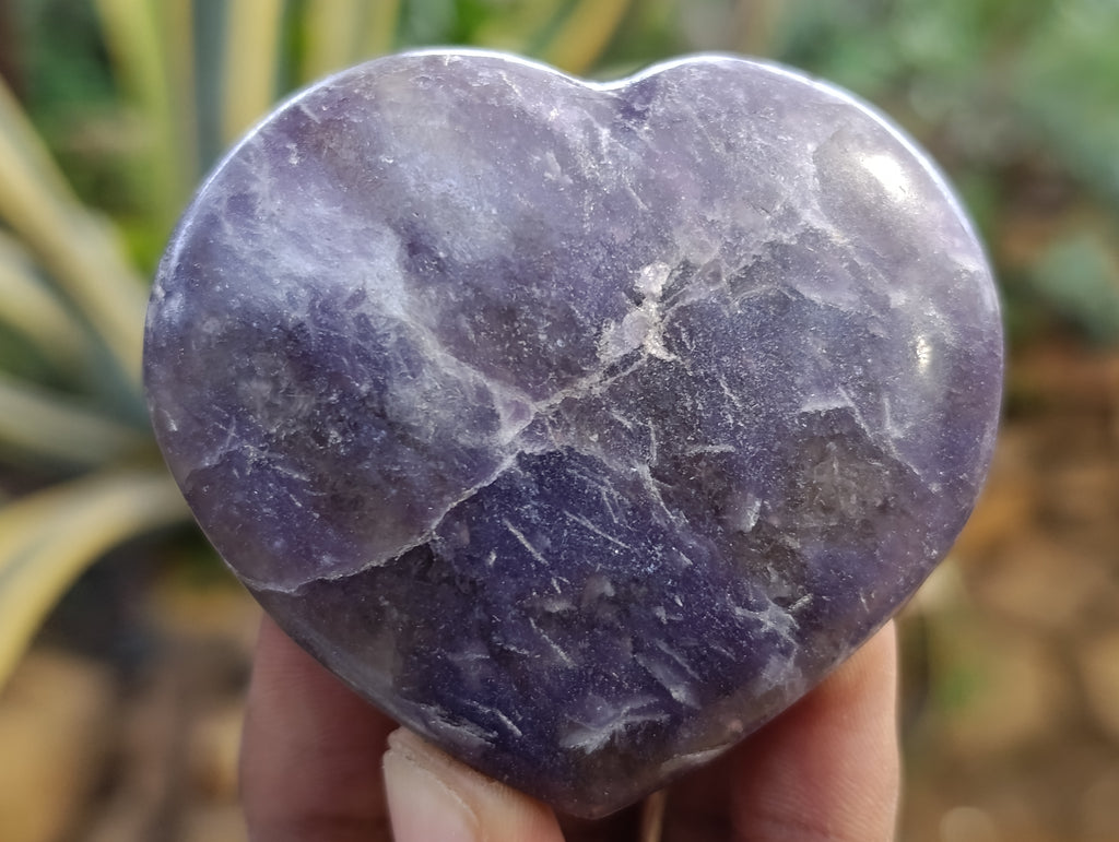 Polished Lepidolite with Pink Rubellite Hearts x 6 From Ambatondrazaka, Madagascar - Toprock Gemstones and Minerals 