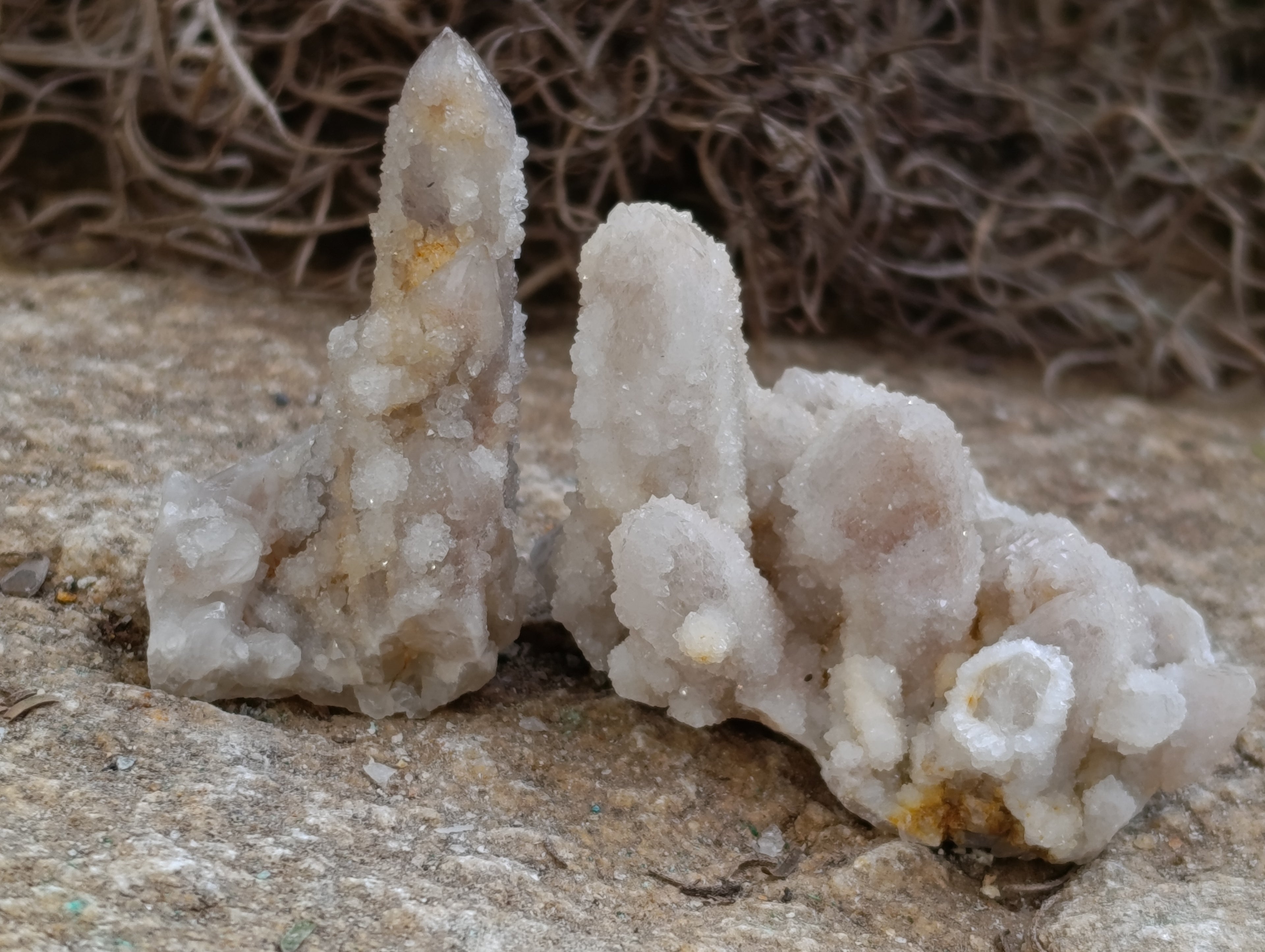 Natural Fairy Spirit Quartz Clusters x 35 From Boekenhouthoek, South Africa - Toprock Gemstones and Minerals 