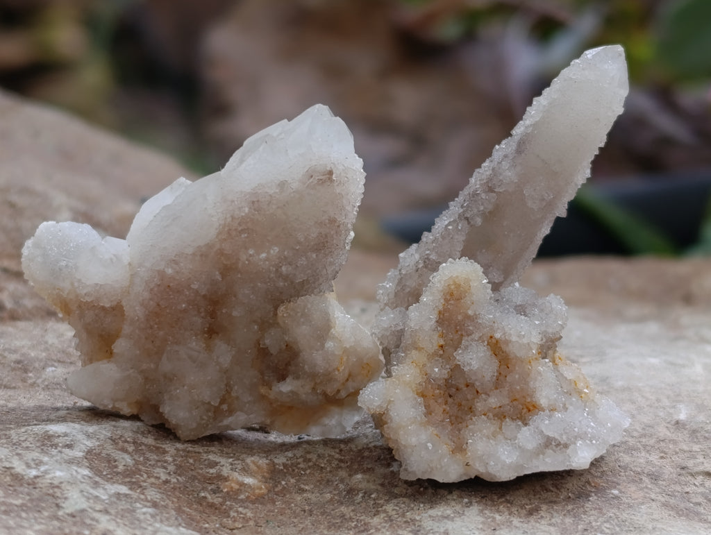 Natural Fairy Spirit Quartz Clusters x 35 From Boekenhouthoek, South Africa - Toprock Gemstones and Minerals 
