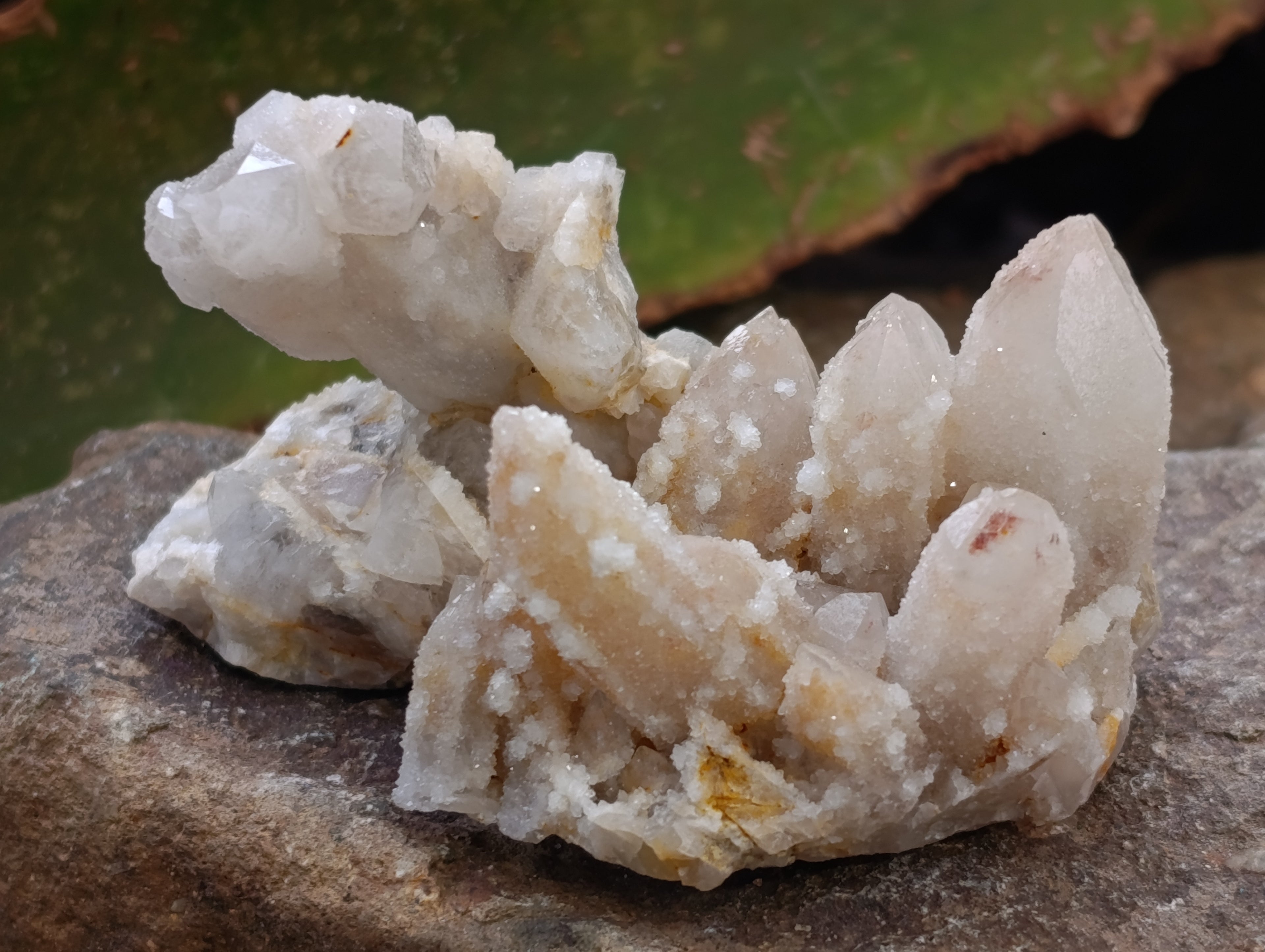 Natural Fairy Spirit Quartz Clusters x 35 From Boekenhouthoek, South Africa - Toprock Gemstones and Minerals 