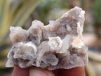 Natural Fairy Spirit Quartz Clusters x 35 From Boekenhouthoek, South Africa - Toprock Gemstones and Minerals 