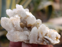 Natural Fairy Spirit Quartz Clusters x 35 From Boekenhouthoek, South Africa - Toprock Gemstones and Minerals 
