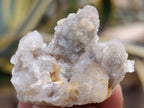 Natural Fairy Spirit Quartz Clusters x 35 From Boekenhouthoek, South Africa - Toprock Gemstones and Minerals 