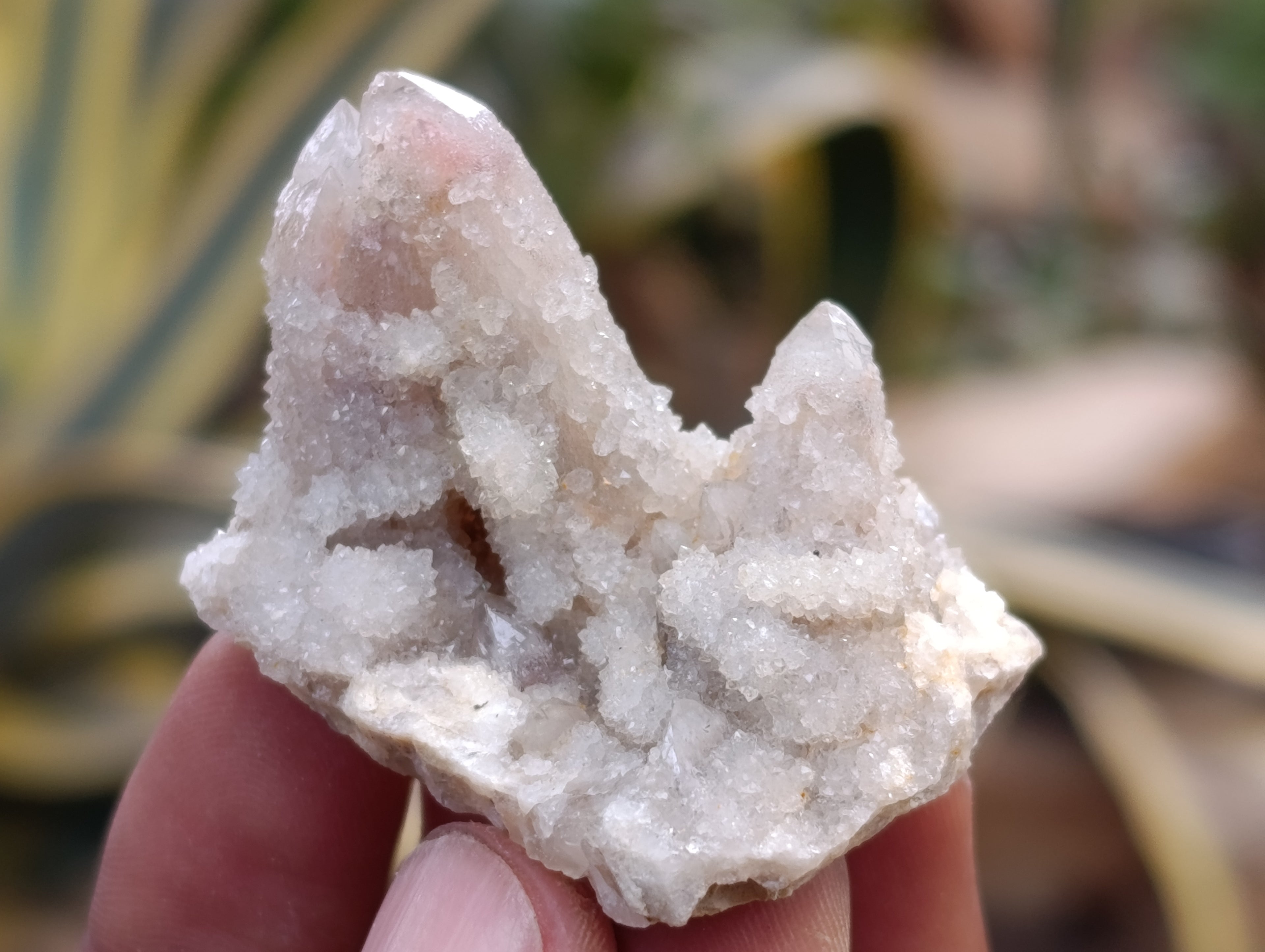 Natural Fairy Spirit Quartz Clusters x 35 From Boekenhouthoek, South Africa - Toprock Gemstones and Minerals 