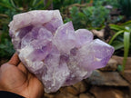 Natural Jacaranda Amethyst Quartz Cluster 1 x from Mumbwa, Zambia - Toprock Gemstones and Minerals 