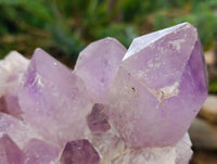 Natural Jacaranda Amethyst Quartz Cluster 1 x from Mumbwa, Zambia - Toprock Gemstones and Minerals 