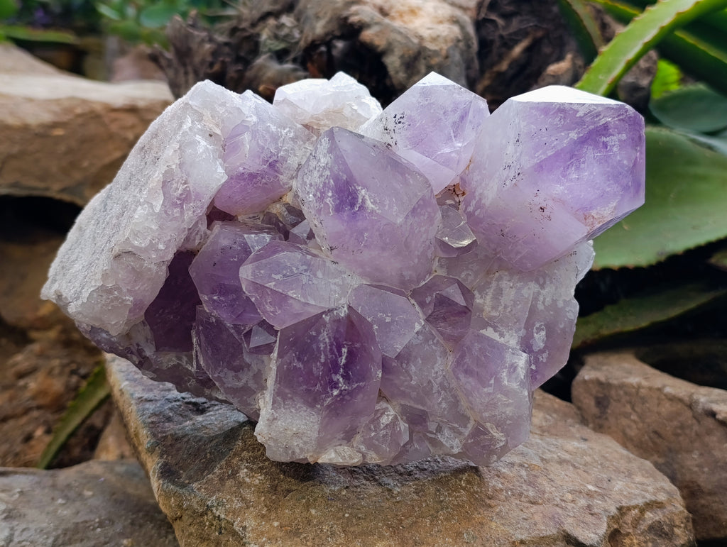 Natural Jacaranda Amethyst Quartz Cluster 1 x from Mumbwa, Zambia - Toprock Gemstones and Minerals 