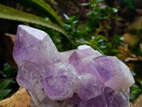 Natural Jacaranda Amethyst Quartz Cluster 1 x from Mumbwa, Zambia - Toprock Gemstones and Minerals 