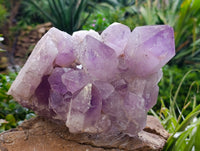 Natural Jacaranda Amethyst Quartz Cluster 1 x from Mumbwa, Zambia - Toprock Gemstones and Minerals 