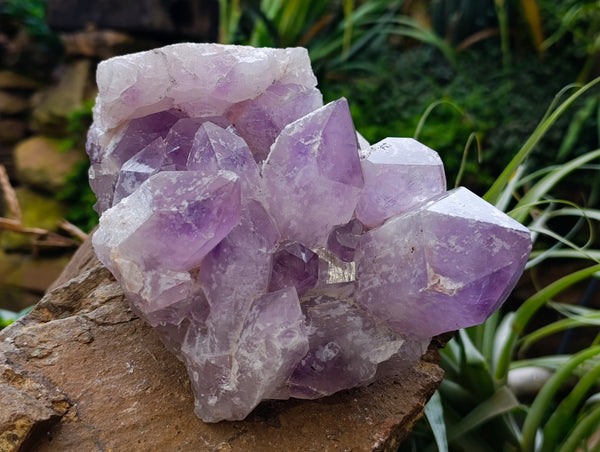 Natural Jacaranda Amethyst Quartz Cluster 1 x from Mumbwa, Zambia
