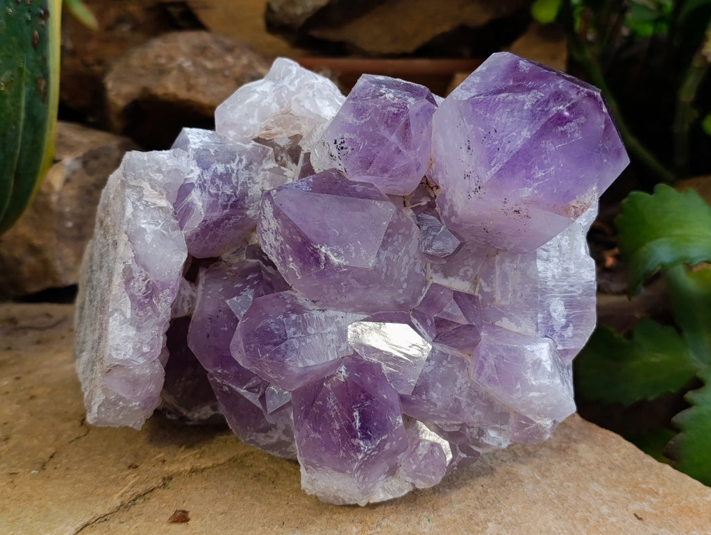 Natural Jacaranda Amethyst Quartz Cluster 1 x from Mumbwa, Zambia - Toprock Gemstones and Minerals 
