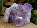 Natural Jacaranda Amethyst Quartz Cluster 1 x from Mumbwa, Zambia - Toprock Gemstones and Minerals 