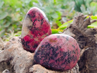 Polished Rhodonite Free Form x 6 From Ambindavato, Madagascar