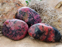 Polished Rhodonite Free Form x 6 From Ambindavato, Madagascar