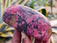 Polished Rhodonite Free Form x 6 From Ambindavato, Madagascar