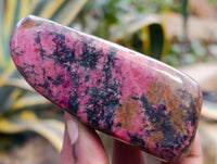Polished Rhodonite Free Form x 6 From Ambindavato, Madagascar