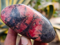 Polished Rhodonite Free Form x 6 From Ambindavato, Madagascar