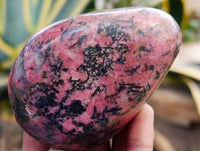 Polished Rhodonite Free Form x 6 From Ambindavato, Madagascar