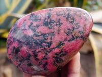 Polished Rhodonite Free Form x 6 From Ambindavato, Madagascar