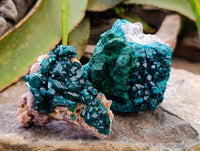 Natural Rare Dioptase and Malachite Specimens x 2 From Likasi, Congo