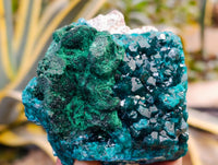 Natural Rare Dioptase and Malachite Specimens x 2 From Likasi, Congo