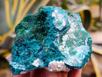 Natural Rare Dioptase and Malachite Specimens x 2 From Likasi, Congo
