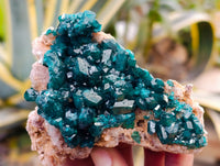 Natural Rare Dioptase and Malachite Specimens x 2 From Likasi, Congo