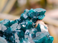 Natural Rare Dioptase and Malachite Specimens x 2 From Likasi, Congo