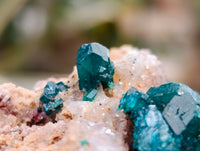 Natural Rare Dioptase and Malachite Specimens x 2 From Likasi, Congo