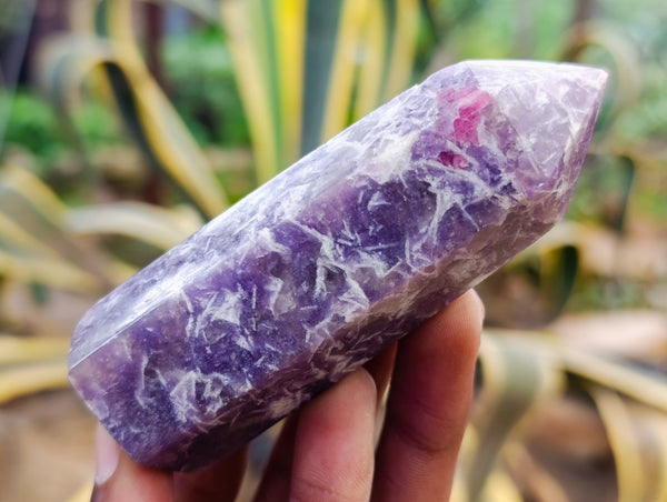 Polished Lepidolite with Pink Rubellite Points x 12 From Ambatondrazaka, Madagascar