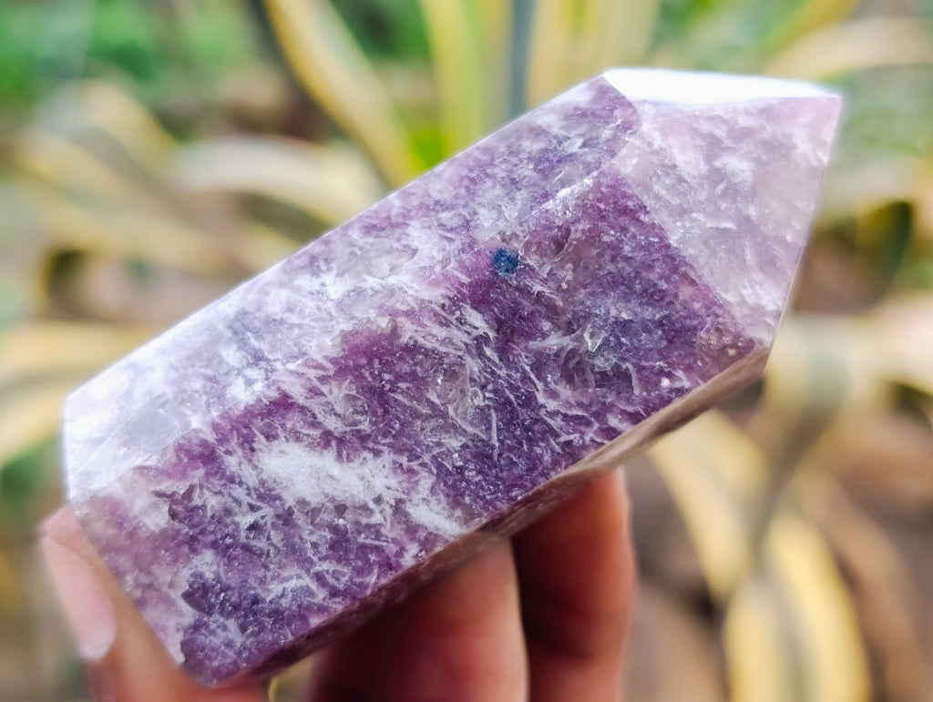 Polished Lepidolite with Pink Rubellite Points x 12 From Ambatondrazaka, Madagascar - Toprock Gemstones and Minerals 