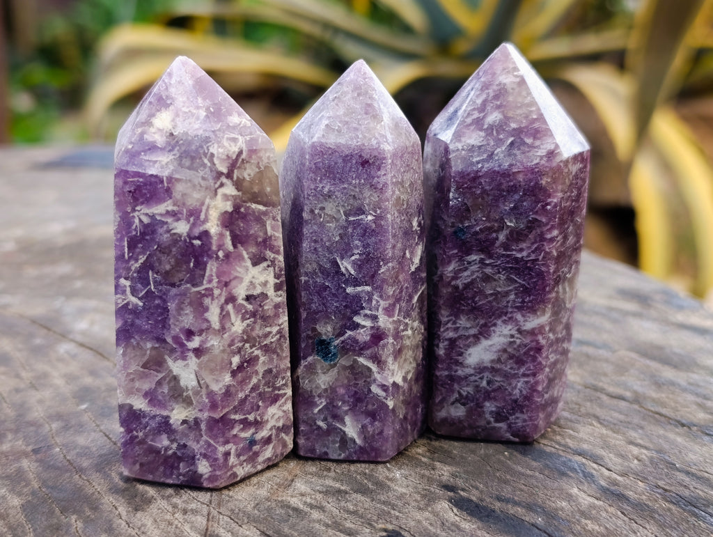 Polished Lepidolite with Pink Rubellite Points x 12 From Ambatondrazaka, Madagascar - Toprock Gemstones and Minerals 